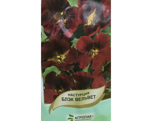 Семена цветов Настурция Блэк Вельвет Агропак плюс