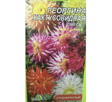 Семена цветов георгина Кактусовидная 20шт. Агропак плюс