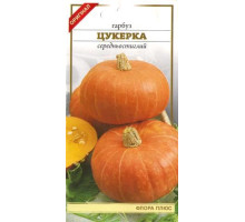 Семена тыква Конфетка 2г. Флора плюс