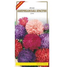 Семена цветов Астра Американская красавица 0,2 г. Флора плюс