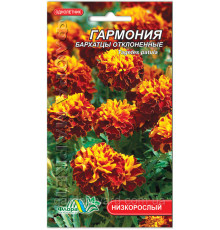 Семена цветов бархатцы Гармония Флора маркет
