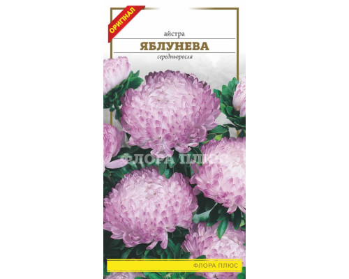 Насіння квітів айстра Яблунева   0,2 г. Флора плюс
