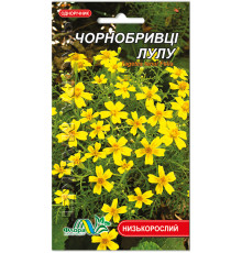 Семена бархатцы Лулу 0,2 г. Флора маркет