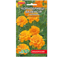 Семена бархатцы каликовые Валенсия 0,25 г. Флора маркет