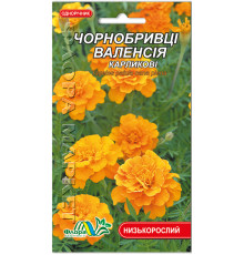 Насіння чорнобривці карликові Валенсія 0,25 г. Флора маркет