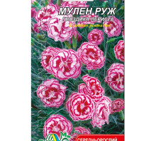 Насіння квітів гвоздика Мулен Руж Флора маркет