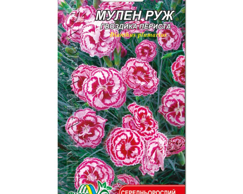 Семена цветов гвоздика Мулен Руж Флора маркет