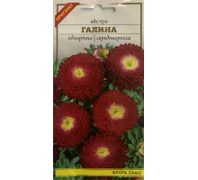 Семена цветов Астра Галина 0,2г. Флора плюс