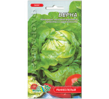 Семена салат Верна 1г. Флора маркет