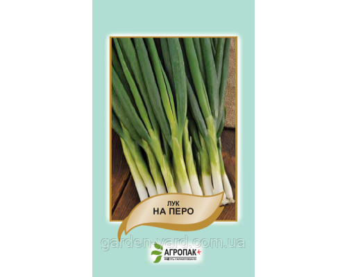 Семена Лук на перо Агропак плюс
