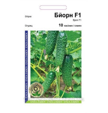 Насіння огірок Бйорн F1, Enza Zaden, 10 шт. Голландія