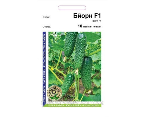 Насіння огірок Бйорн F1, Enza Zaden, 10 шт. Голландія