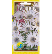 Насіння квітів Арктотис 0,3 р. Флора плюс
