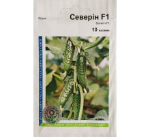 Семена огурец Северин  F1  10шт. Enza Zaden Голландия