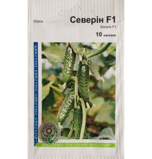 Семена огурец Северин  F1  10шт. Enza Zaden Голландия