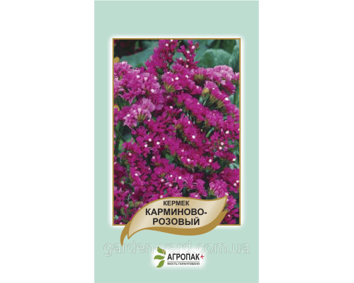 Семена цветы Кермек карминово-розовый 0,2г. Агропак плюс