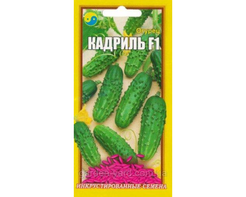 Семена огурец Кадриль F1 0,5 г. Флора плюс