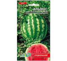 Семена арбуз Альянс 3г. Флора маркет