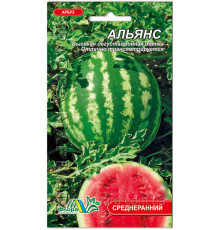 Семена арбуз Альянс 3г. Флора маркет
