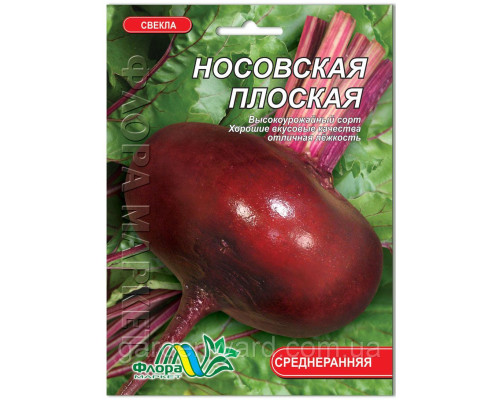 Насіння буряк Носівський плоский 10 г. Флора маркет