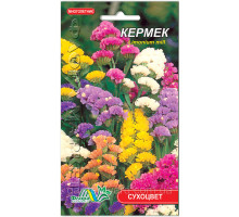 Семена цветов Кермек смесь Флора маркет