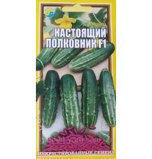 Насіння огірок Настоящий полковник F1, 0,5 гр.
