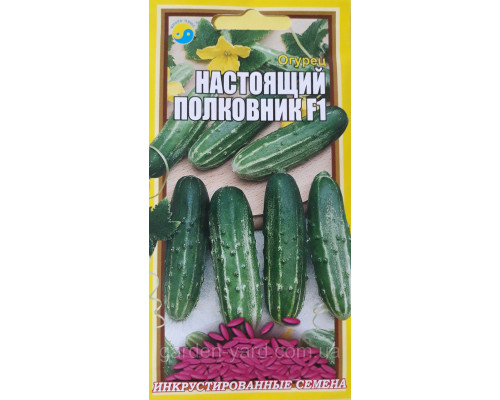 Семена огурец Настоящий полковник F1  0,5г.,Флора плюс