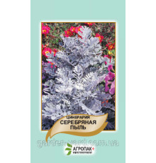 Семена цветов Цинерария Серебряная пыль Агропак плюс