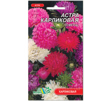 Семена цветов Астра Карликовая  смесь 0,2 г. Флора маркет