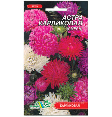 Семена цветов Астра Карликовая  смесь 0,2 г. Флора маркет