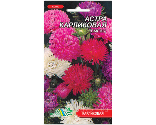 Семена цветов Астра Карликовая  смесь 0,2 г. Флора маркет