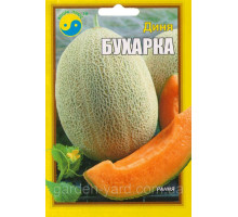 Семена дыня Бухарка 5г. Флора плюс