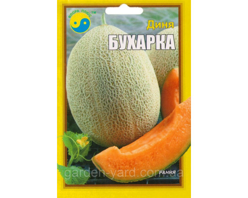 Насіння дині Бухарка 5г. Флора плюс