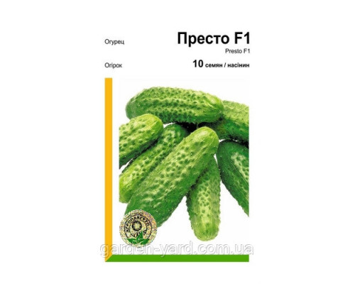 Семена огурец Престо  F1 10 шт. Rijk Zwaan  Голландия