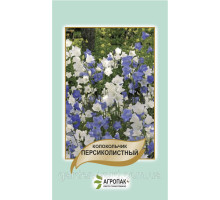 Семена цветов Колокольчик персиколистный  0,1г. Агропак плюс
