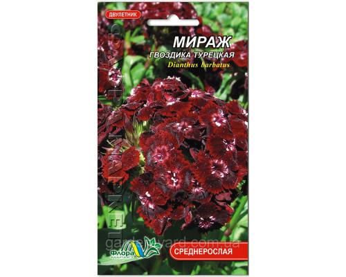 Семена цветов Гвоздика турецкая Мираж  Флора маркет