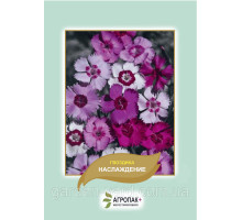 Семена цветов Гвоздика Наслаждение 0,05 г. Агропак плюс