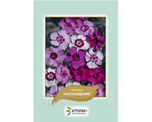Насіння квітів Гвоздика Насолоду 0,05г. Агропак плюс