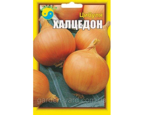 Семена лук Халцедон 10 г. Флора плюс