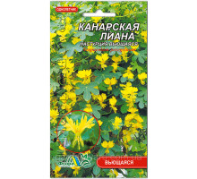 Семена цветов Настурция Канарская лиана Флора маркет
