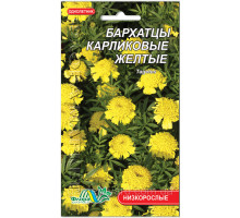 Семена цветов бархатцы Карликовые желтые Флора маркет