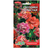 Семена цветов Гвоздика Перистая Флора маркет