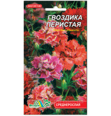 Семена цветов Гвоздика Перистая Флора маркет