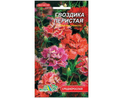 Семена цветов Гвоздика Перистая Флора маркет