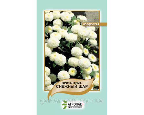 Семена цветов Хризантема Снежный шар Агропак плюс
