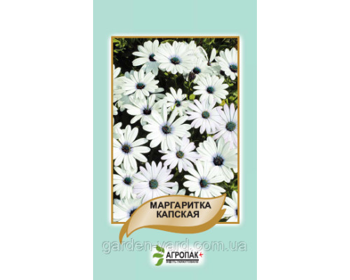 Семена цветов Маргаритка Капская 20 шт. Агропак  плюс