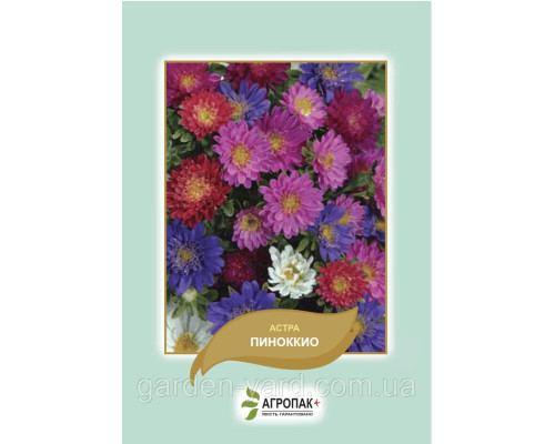 Насіння астра Піноккіо 0,5 р. Агропак плюс