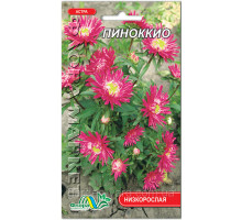 Семена астра Пиноккио Флора маркет