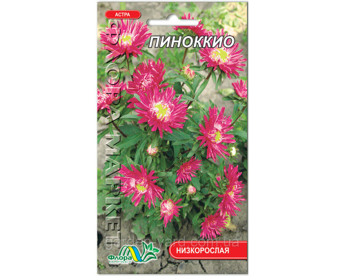 Семена астра Пиноккио Флора маркет