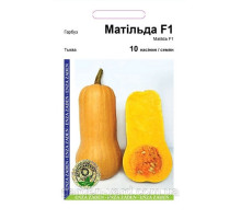 Семена тыква Матильда F1 10шт. Enza Zaden Голландия